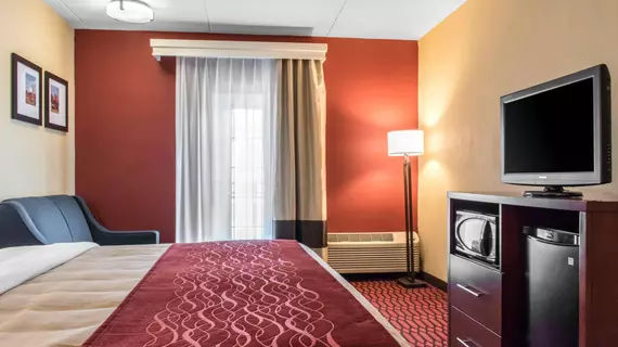 Comfort Inn Lancaster - Rockvale Outlets | Pensilvanya - Lancaster (ve civarı) - Lancaster