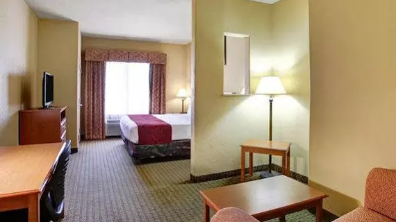 Comfort Suites North IH 35 | Teksas - San Antonio (ve civarı) - San Antonio - Kuzey San Antonio - SAT Havalimanı