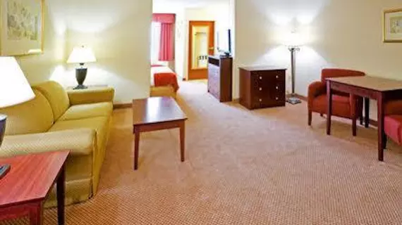 Holiday Inn Express Hotel & Suites - Irving Convention Center - Las Colinas | Teksas - Dallas (ve civarı) - Irving - Las Colinas