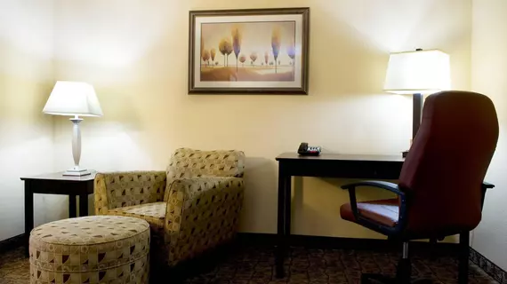 Holiday Inn Express Hotel & Suites Dallas Fort Worth Airport South | Teksas - Dallas (ve civarı) - Irving