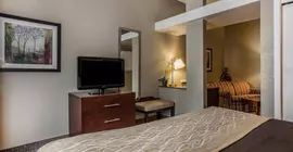 Comfort Inn & Suites | Güney Karolayna - Columbia (ve civarı) - Camden