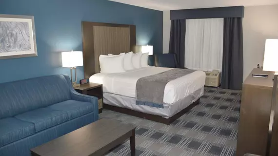 Best Western Town Center Inn | Teksas - McAllen (ve civarı) - Weslaco