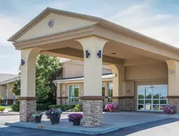 Comfort Inn Albany/Glenmont | New York - Albany (ve civarı) - Glenmont