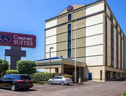 Comfort Suites at Woodbridge | New Jersey - Franklin Township - Somerset (ve civarı) - Avenel