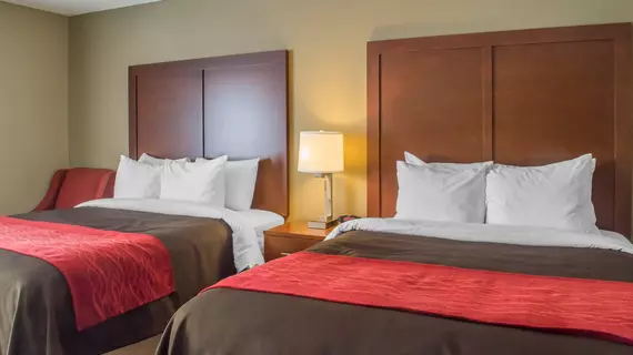 Comfort Inn Mayfield Heights Cleveland East | Ohio - Cleveland (ve civarı) - Mayfield Heights