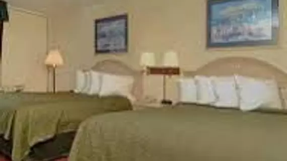 Quality Inn & Suites Myrtle Beach | Güney Karolayna - Myrtle Plajı (ve civarı) - Myrtle Beach