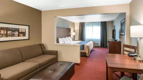 Comfort Inn Lacey | Washington - Olympia (ve civarı) - Lacey