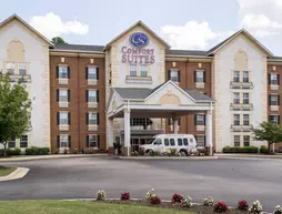 Comfort Suites Newport News Airport | Virginia - Newport News (ve civarı) - Newport News