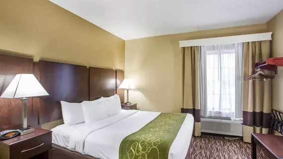 Comfort Suites Lebanon | Tennessee - Nashville-Davidson - Nashville (ve civarı) - Lebanon