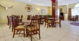 Microtel Inn & Suites by Wyndham Airport North | Teksas - San Antonio (ve civarı) - San Antonio - Kuzey San Antonio - SAT Havalimanı