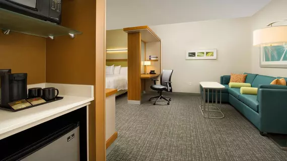 SpringHill Suites Bridgeport Clarksburg | Batı Virginia - Bridgeport (ve civarı) - Bridgeport