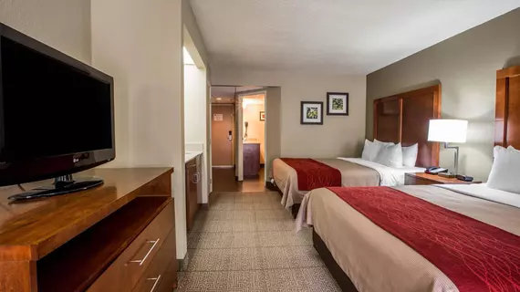 Comfort Inn & Suites at Dollywood Lane | Tennessee - Gatlinburg - Pigeon Forge (ve civarı) - Pigeon Forge