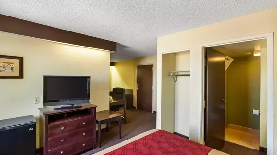 Econo Lodge Inn & Suites Richardson | Teksas - Dallas (ve civarı) - Richardson