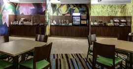 Fairfield Inn and Suites Lansing at Eastwood | Michigan - Lansing (ve civarı) - Lansing