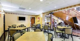 Comfort Suites | Teksas - Houston (ve civarı) - Houston