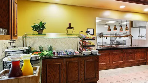 Hilton Garden Inn San Antonio Airport | Teksas - San Antonio (ve civarı) - San Antonio - Kuzey San Antonio - SAT Havalimanı