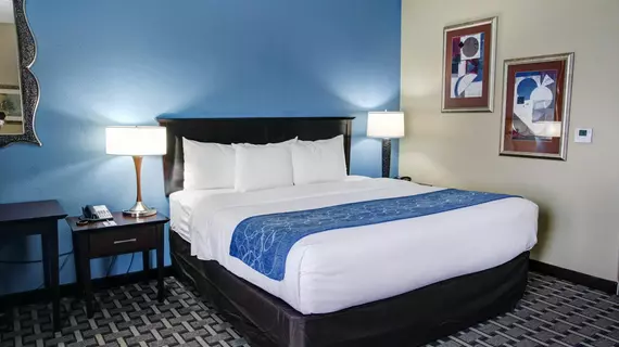 Comfort Suites Georgetown | Teksas - Austin (ve civarı) - Georgetown