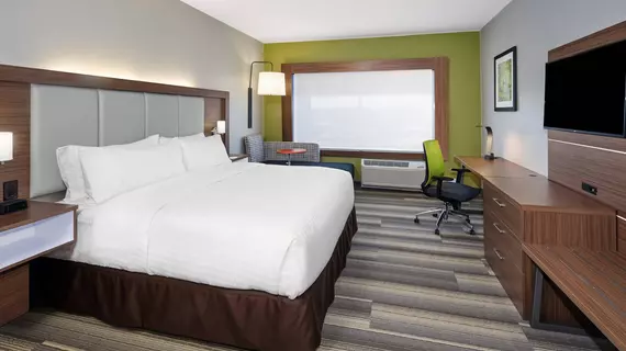 HOLIDAY INN EXPRESS & SUITES CHICAGO NORTH SHORE - NILES | İllinois - Niles