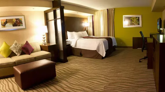 Fairfield Inn & Suites by Marriott Dallas DFW Airport South/Irving | Teksas - Dallas (ve civarı) - Irving