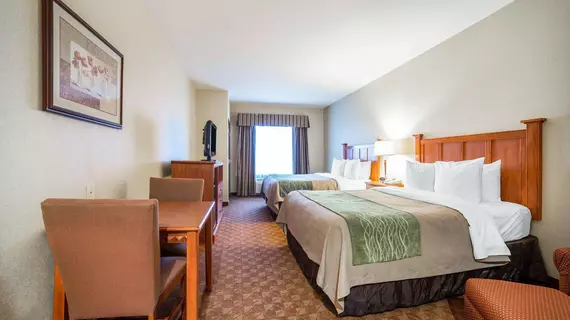 COMFORT INN & SUITES | Nevada - Clark County - Las Vegas (ve civarı) - Las Vegas