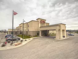 Hampton Inn and Suites Alexandria | Minnesota - Alexandria (ve civarı) - Alexandria