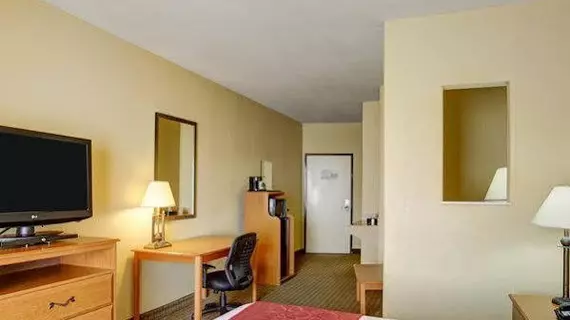 Comfort Suites North IH 35 | Teksas - San Antonio (ve civarı) - San Antonio - Kuzey San Antonio - SAT Havalimanı