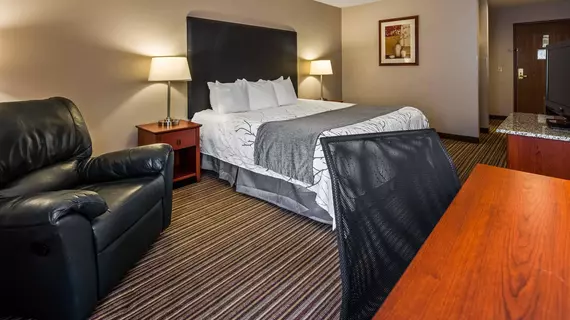 Best Western Park Oasis Inn | Wisconsin - Wisconsin Dells (Wisconsin Vadileri) (ve civarı) - Mauston