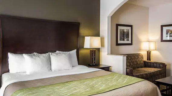 Comfort Inn & Suites | Oklahoma - Alva