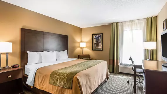 Comfort Inn and Suites Kansas City Northeast | Missouri - Kansas City (ve civarı) - Kansas