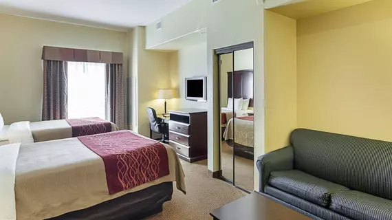 Comfort Inn Near SeaWorld | Teksas - San Antonio (ve civarı) - San Antonio - Batı San Antonio