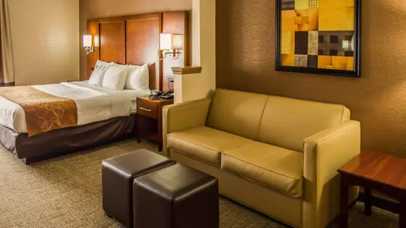 Comfort Suites North Bergen | New Jersey - Jersey City (ve civarı) - North Bergen