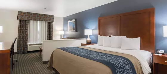 BEST WESTERN Northwest Corpus Christi Inn & Suites | Teksas - Corpus Christi (ve civarı) - Corpus Christi