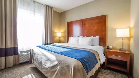 COMFORT INN & SUITES CHEYENNE | Wyoming - Cheyenne (ve civarı) - Cheyenne