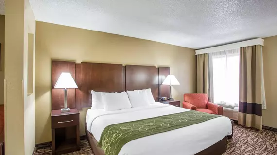 Comfort Suites Lebanon | Tennessee - Nashville-Davidson - Nashville (ve civarı) - Lebanon