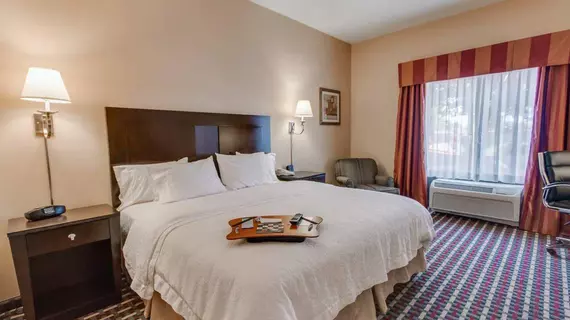 Hampton Inn & Suites Las Cruces I-25 | New Mexico - Las Cruces (ve civarı) - Las Cruces