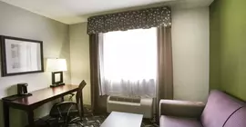 Rodeway Inn and Suites Austin | Teksas - Austin (ve civarı) - Austin - North Loop