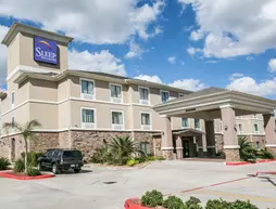 Sleep Inn & Suites - I-45/ Airtex | Teksas - Houston (ve civarı) - Houston