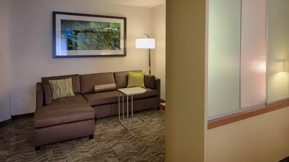 SpringHill Suites Albany-Colonie | New York - Albany (ve civarı) - Albany