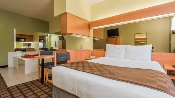 Microtel Inn & Suites by Wyndham Dallas/Fort Worth | Teksas - Fort Worth (ve civarı) - Fort Worth