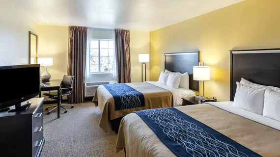 Comfort Inn & Suites Texas Hill Country | Teksas - San Antonio (ve civarı) - Boerne