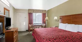 DAYS INN SAN ANTONIO SOUTHEAST | Teksas - San Antonio (ve civarı) - San Antonio