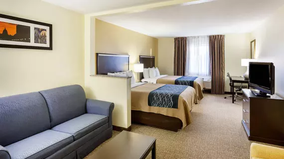 Comfort Inn & Suites Texas Hill Country | Teksas - San Antonio (ve civarı) - Boerne