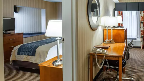 Comfort Inn & Suites Alexandria | Virginia - İskenderiye - Franconia