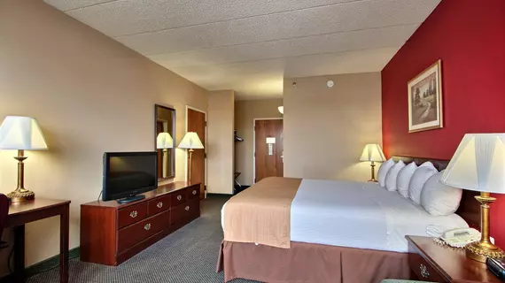 Best Western Executive Inn | Wisconsin - Milwaukee (ve civarı) - Kenosha