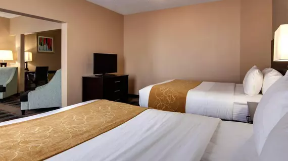 Comfort Suites Houston | Teksas - Houston (ve civarı) - Houston