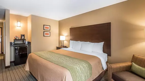 Comfort Inn and Suites Kansas City Northeast | Missouri - Kansas City (ve civarı) - Kansas