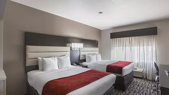 Comfort Suites Vista Ridge Mall | Teksas - Dallas (ve civarı) - Lewisville