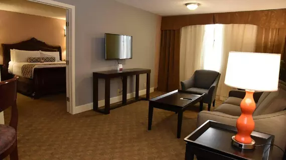 Crowne Plaza Hotel Houston Near Reliant/Medical Center | Teksas - Houston (ve civarı) - Houston