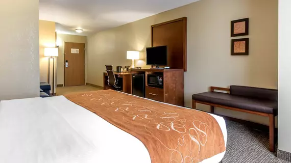 Comfort Suites Johnson Creek | Wisconsin - Fort Atkinson (ve civarı) - Johnson Creek