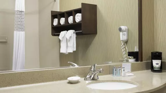 Hampton Inn Helena | Montana - Helena (ve civarı) - Helena